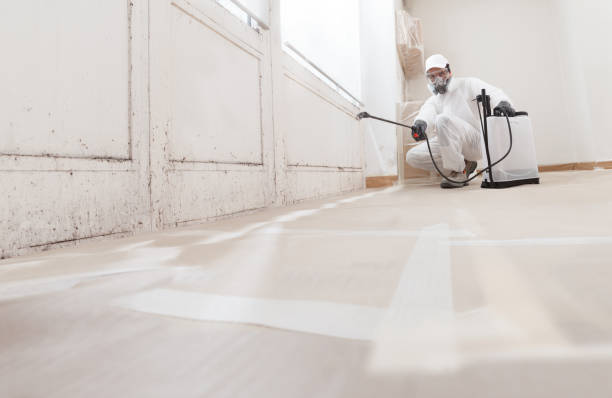 24/7 Emergency Commercial Mold Remediation experts in Concord, MI
